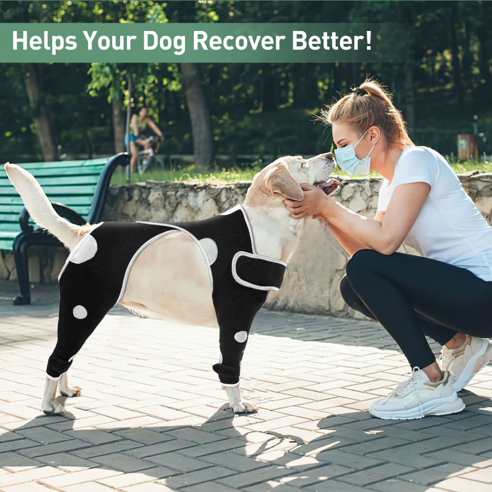 knee brace for dogs cruciate support