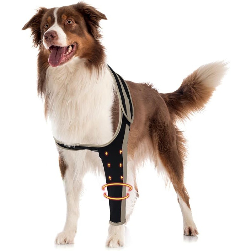 dog elbow dysplasia brace