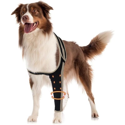 Anti-Lick Double-Color Canine Front Leg Brace for Elbow Dysplasia  02