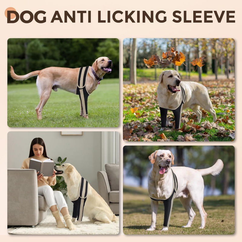 Anti-Lick Double-Color Canine Front Leg Brace for Elbow Dysplasia 