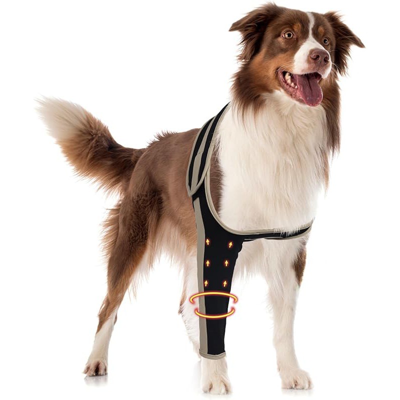 dog leg supports front legs