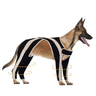 Anti-lick Double-Color 4 Leg Dog Cruciate Ligament Brace for ACL 01