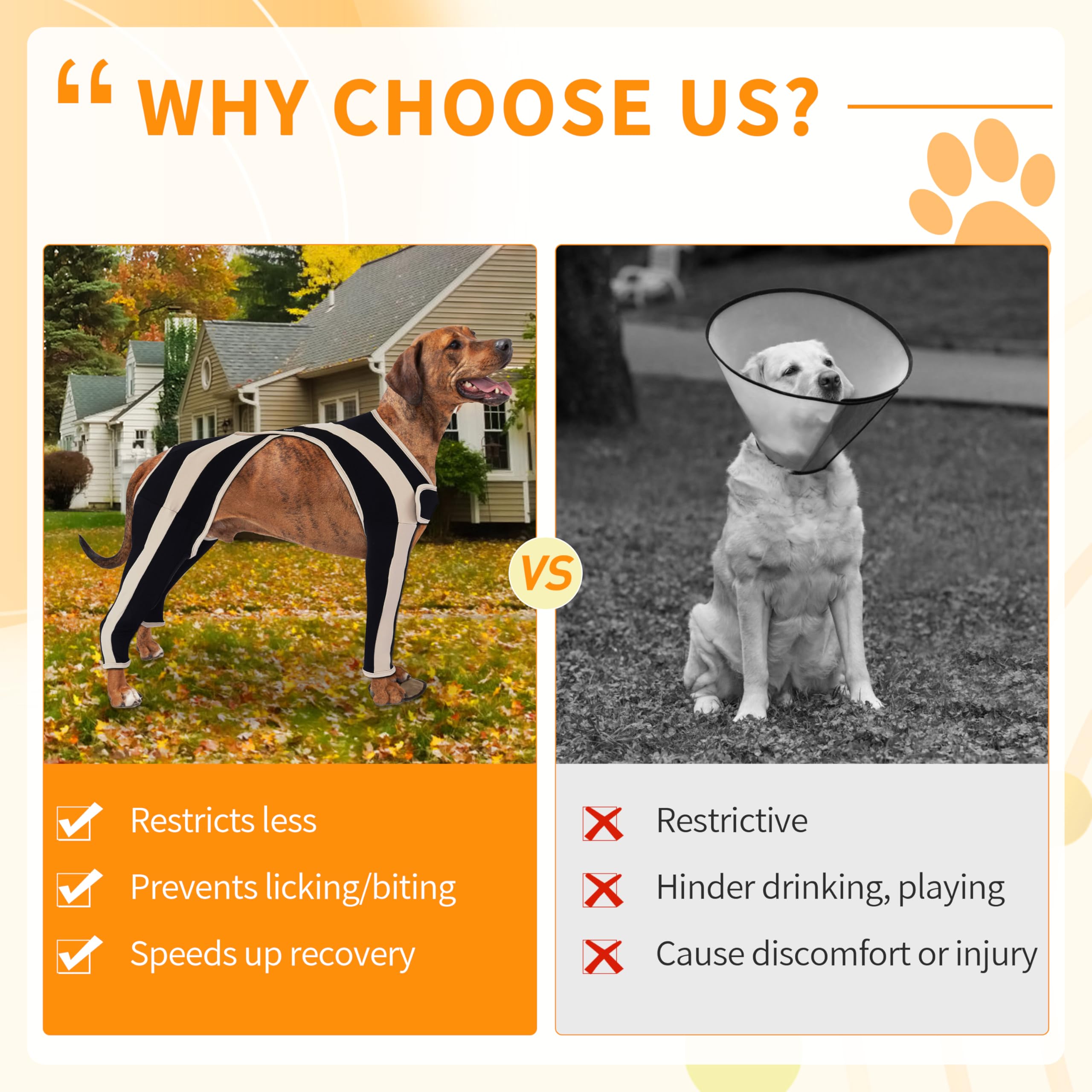 Anti-lick Double-Color 4 Leg Dog Cruciate Ligament Brace for ACL