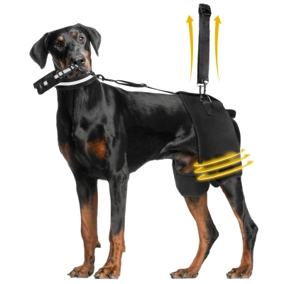 Dobermann Hip Stabilizer for Dog Hip Dysplasia Brace 01