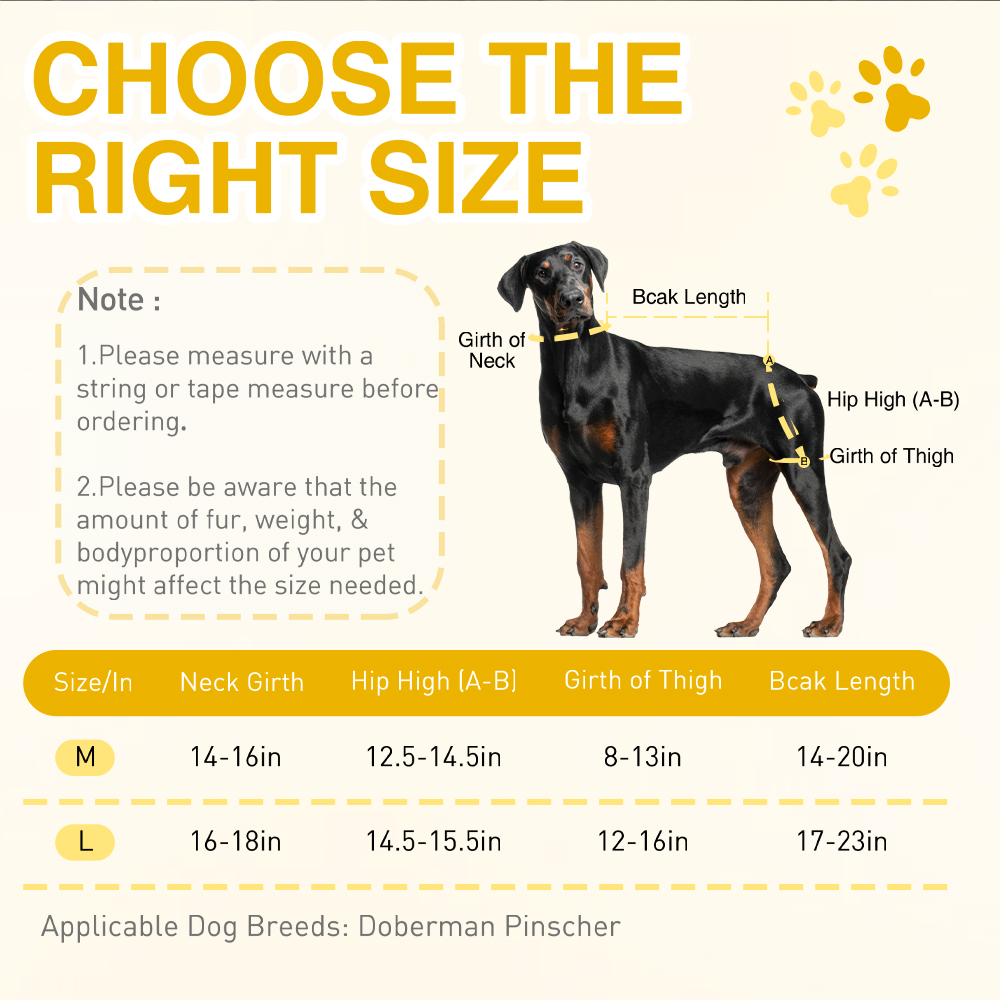 Dobermann Hip Stabilizer for Dog Hip Dysplasia Brace