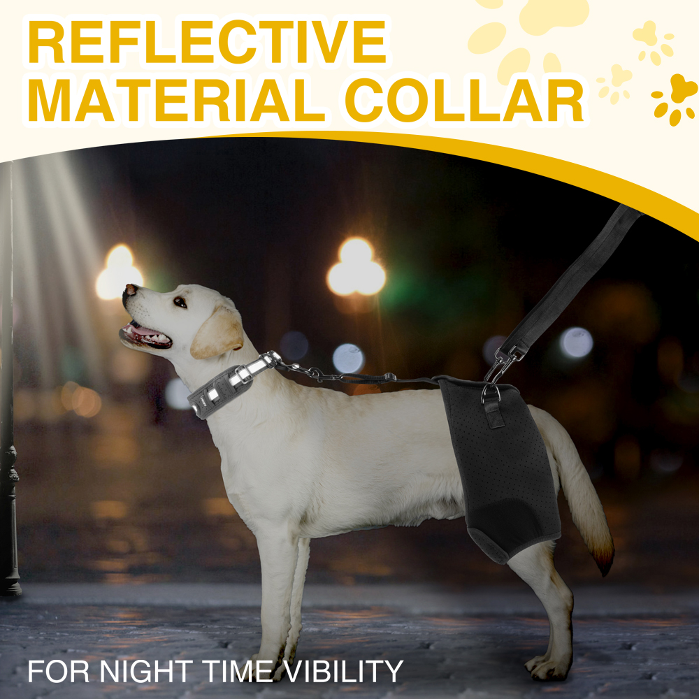 hip support brace for dogs