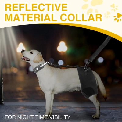 Dobermann Hip Stabilizer for Dog Hip Dysplasia Brace 02