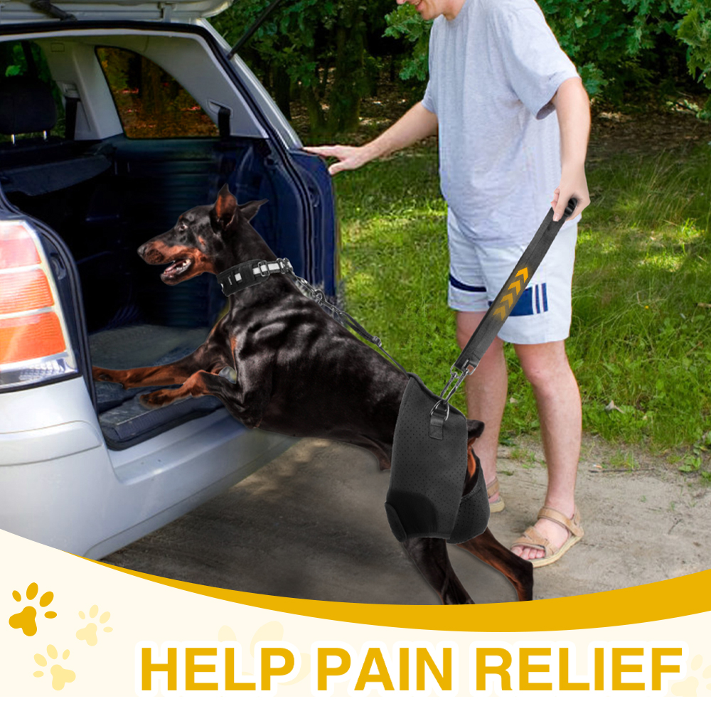 Dobermann Hip Stabilizer for Dog Hip Dysplasia Brace