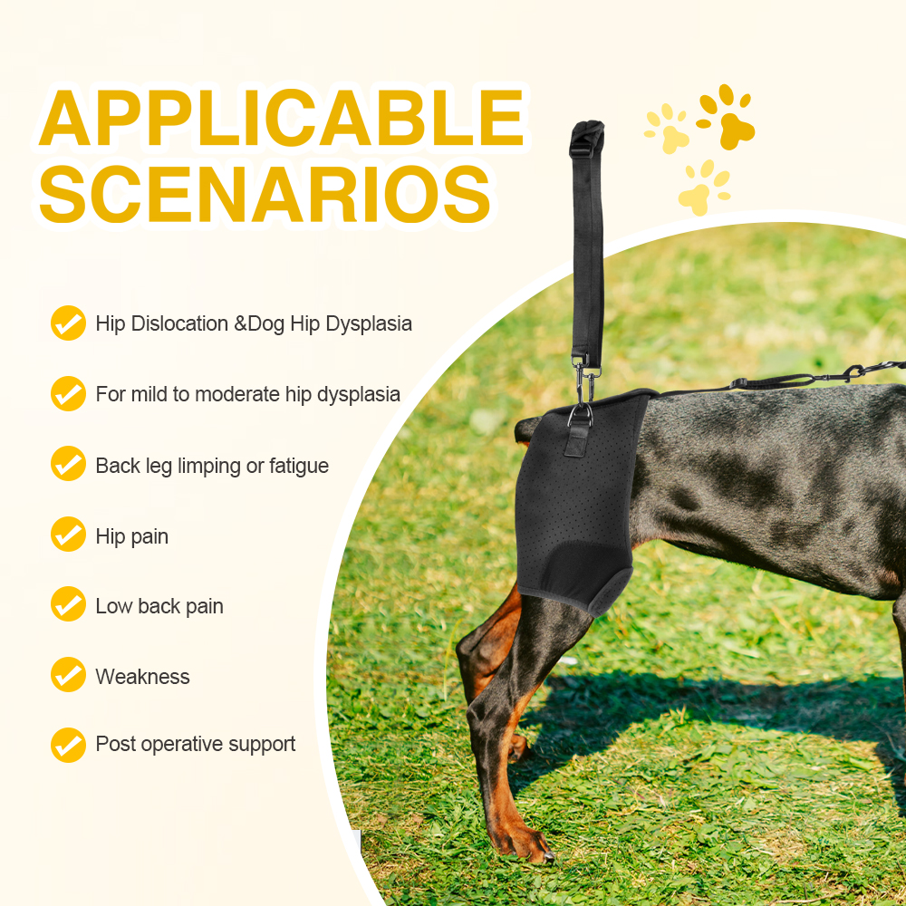dog hip arthritis brace
