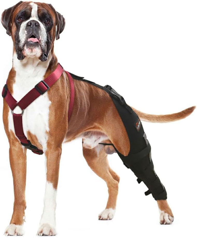 dog back leg support harness