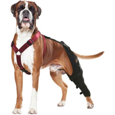 Dog Luxating Patella Knee Brace With Hanress 02
