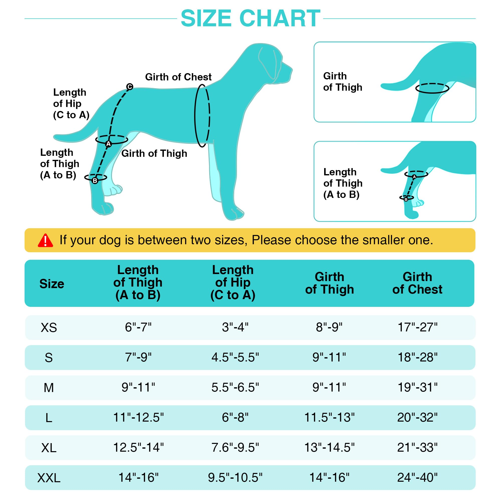 Dog Luxating Patella Knee Brace With Hanress