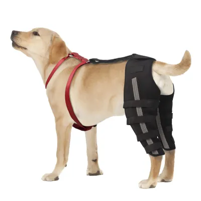 Dog Luxating Patella Knee Brace With Hanress 01