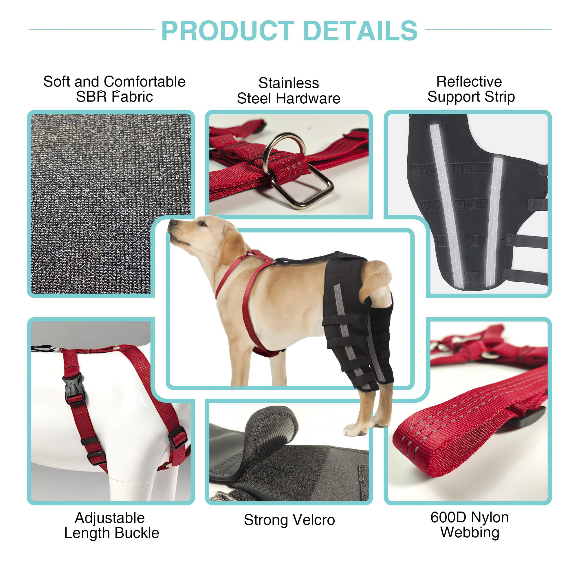 Dog Luxating Patella Knee Brace With Hanress