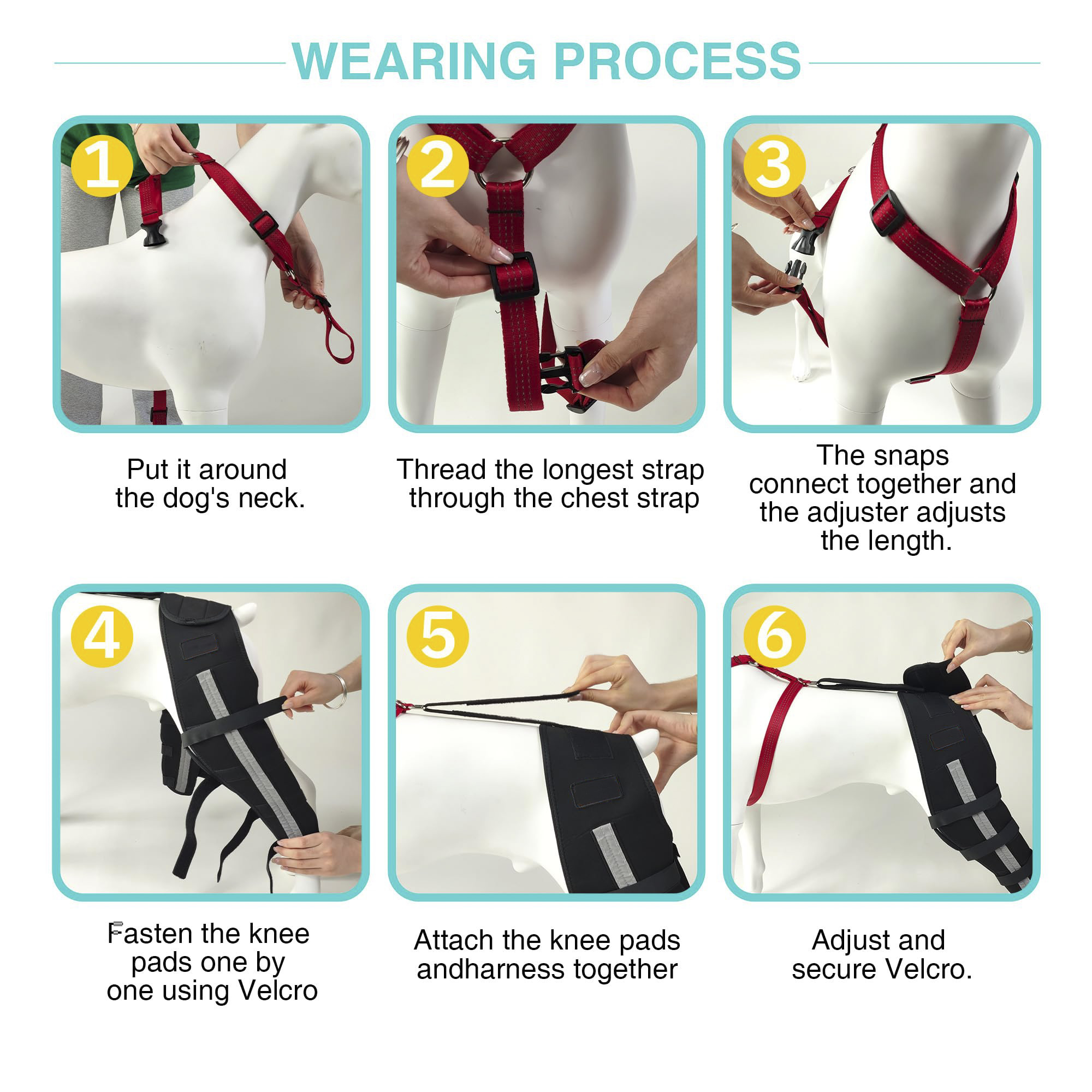 Dog Luxating Patella Knee Brace With Hanress