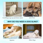 Updated Dog Rear Hip Brace for Dogs with Hip Dysplasia