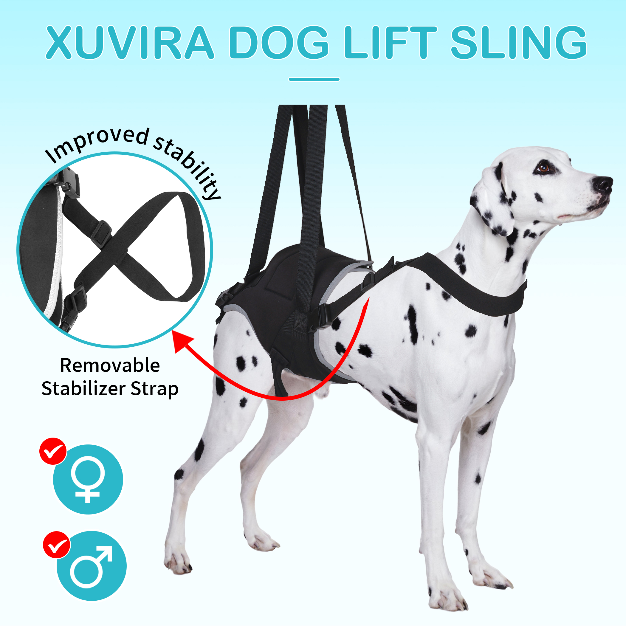 Updated Dog Rear Hip Brace for Dogs with Hip Dysplasia