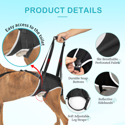 Updated Dog Rear Hip Brace for Dogs with Hip Dysplasia 02