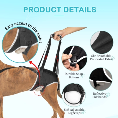 Updated Dog Rear Hip Brace for Dogs with Hip Dysplasia 02