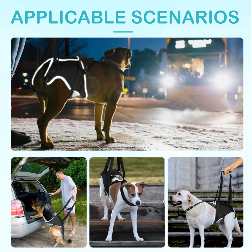 dog rear hip brace