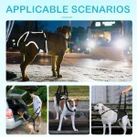 dog rear hip brace