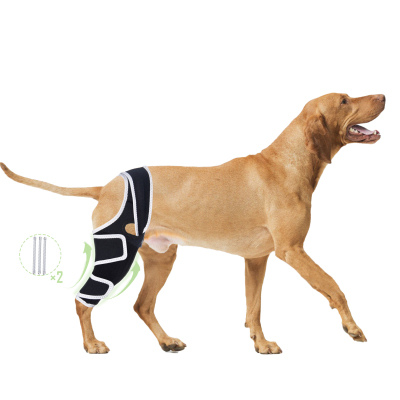 Canine Single Hind/Front Support Brace for Arthritis 01
