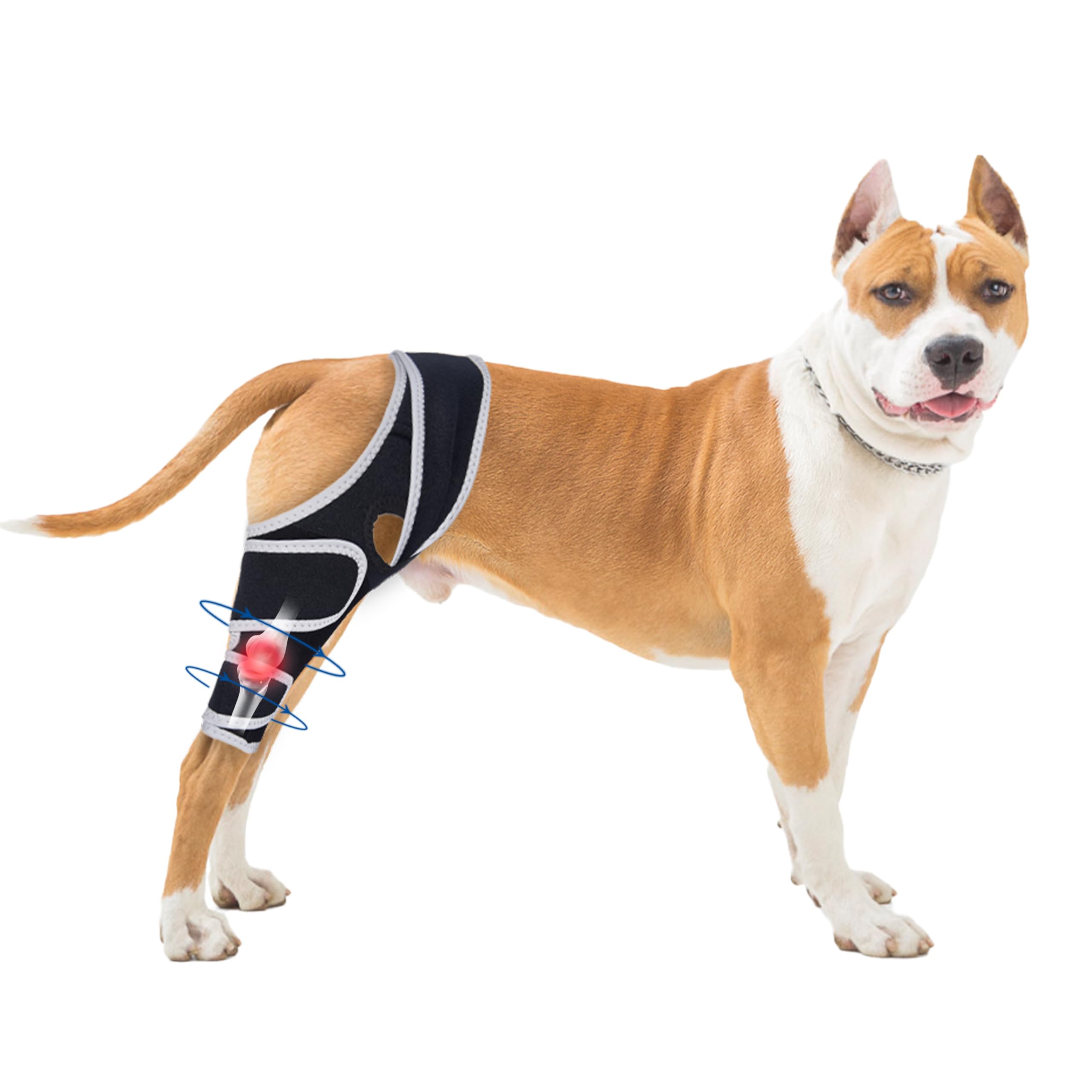 dog front leg brace for arthritis