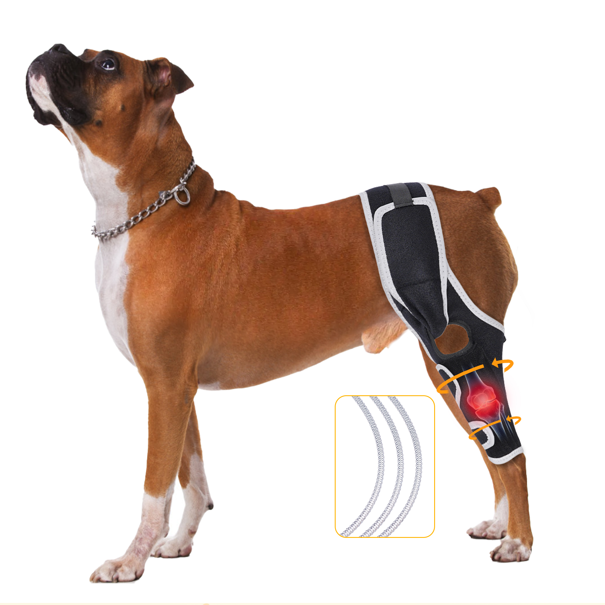 dog single leg brace