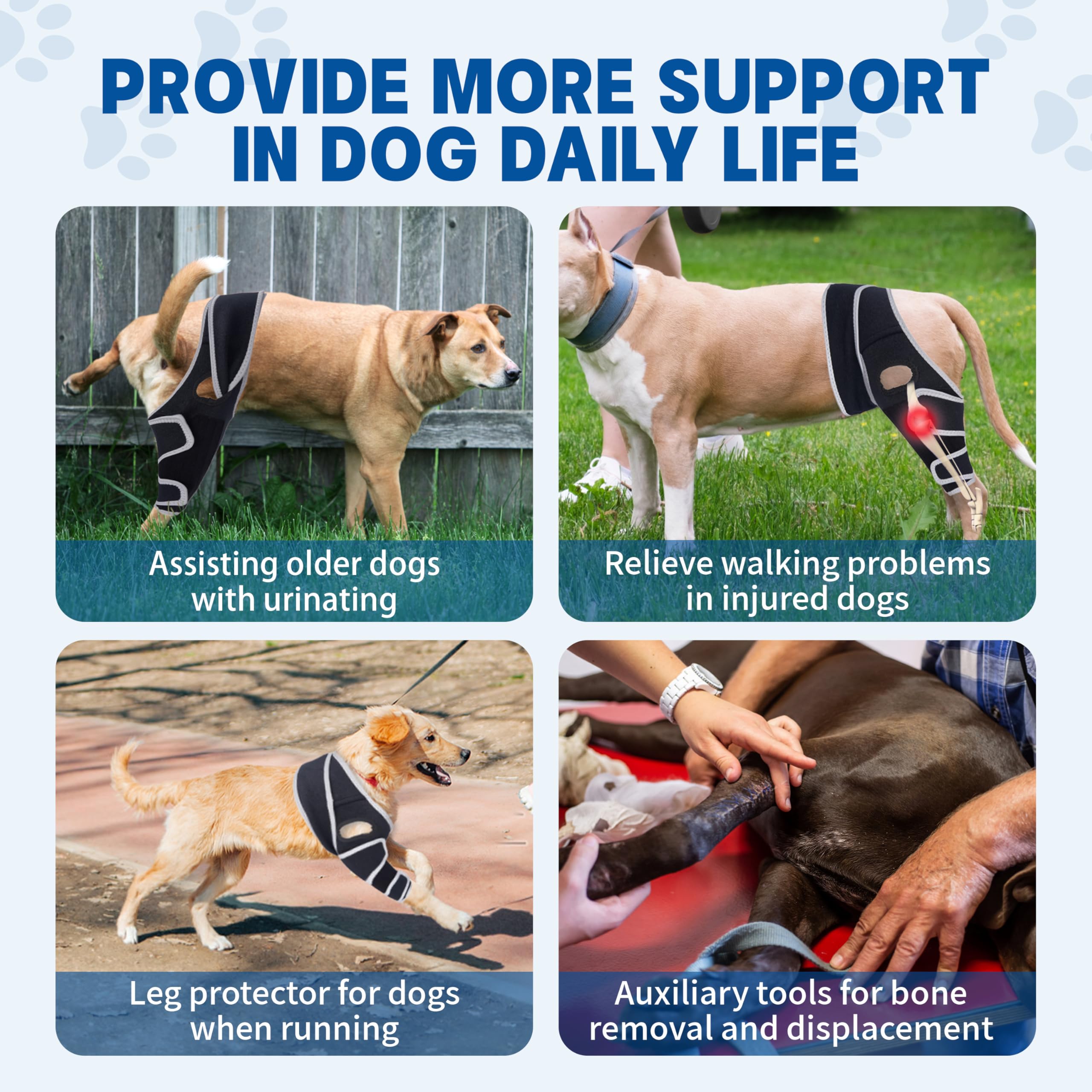 Canine Single Hind/Front Support Brace for Arthritis