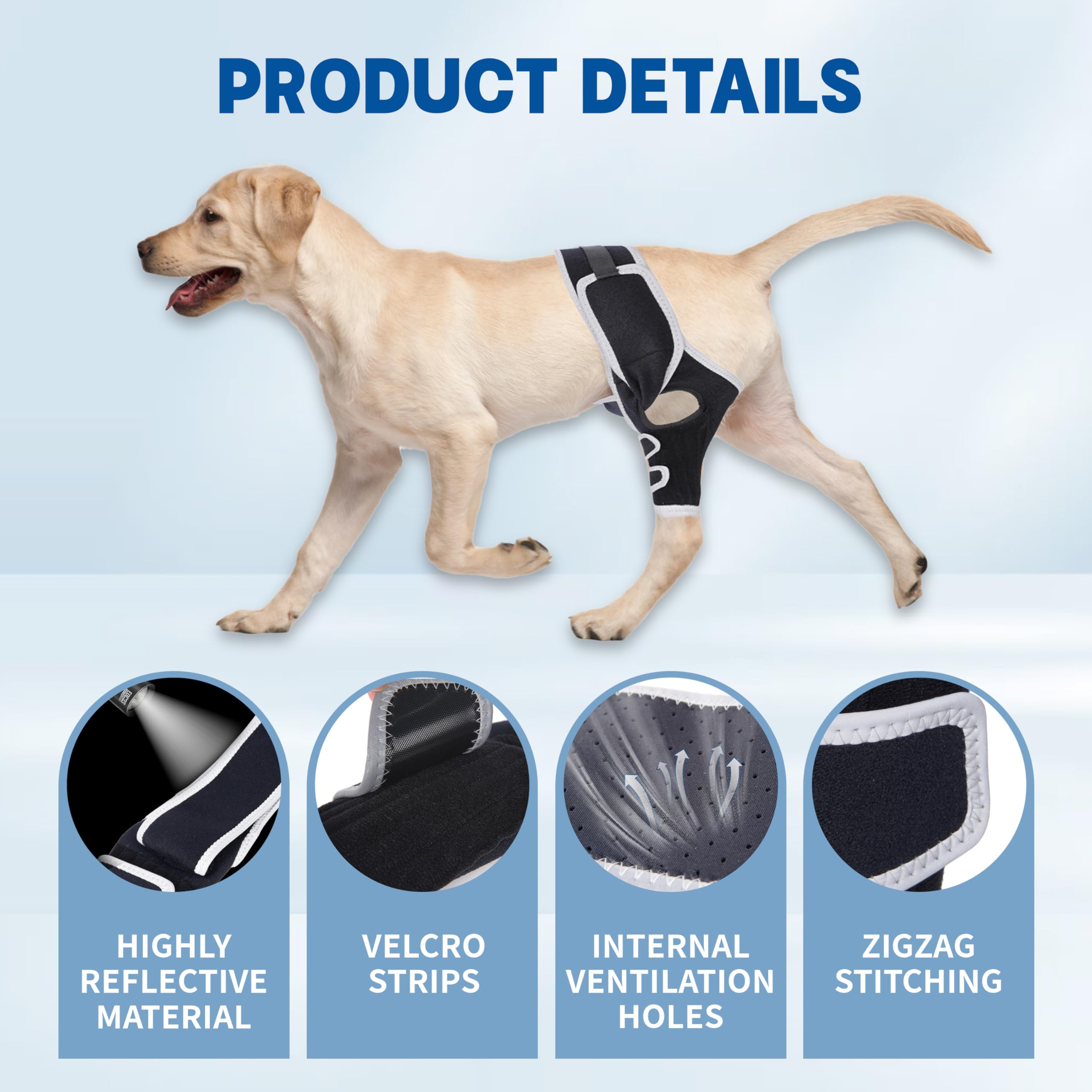 Canine Single Hind/Front Support Brace for Arthritis