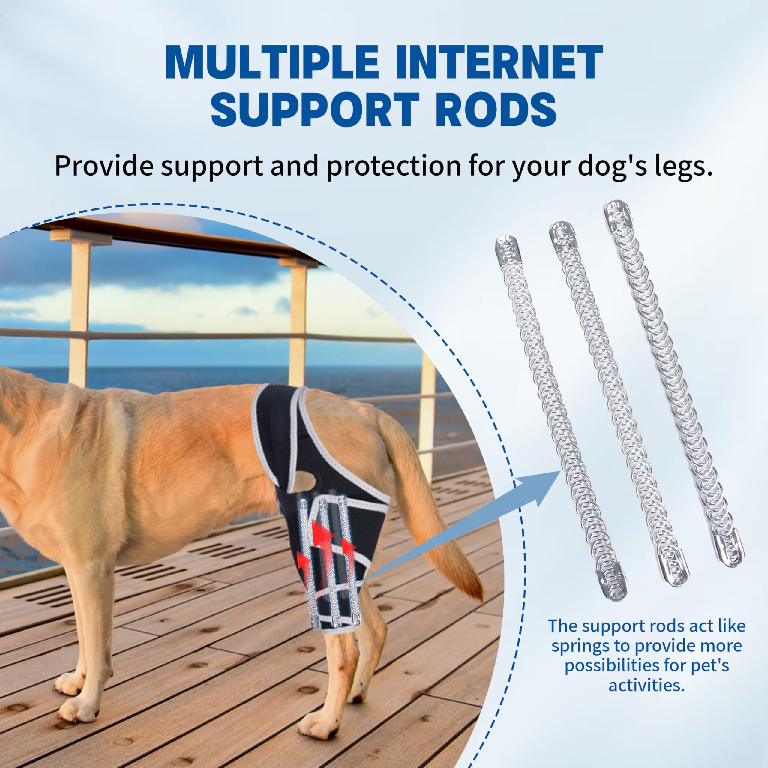 Canine Single Hind/Front Support Brace for Arthritis