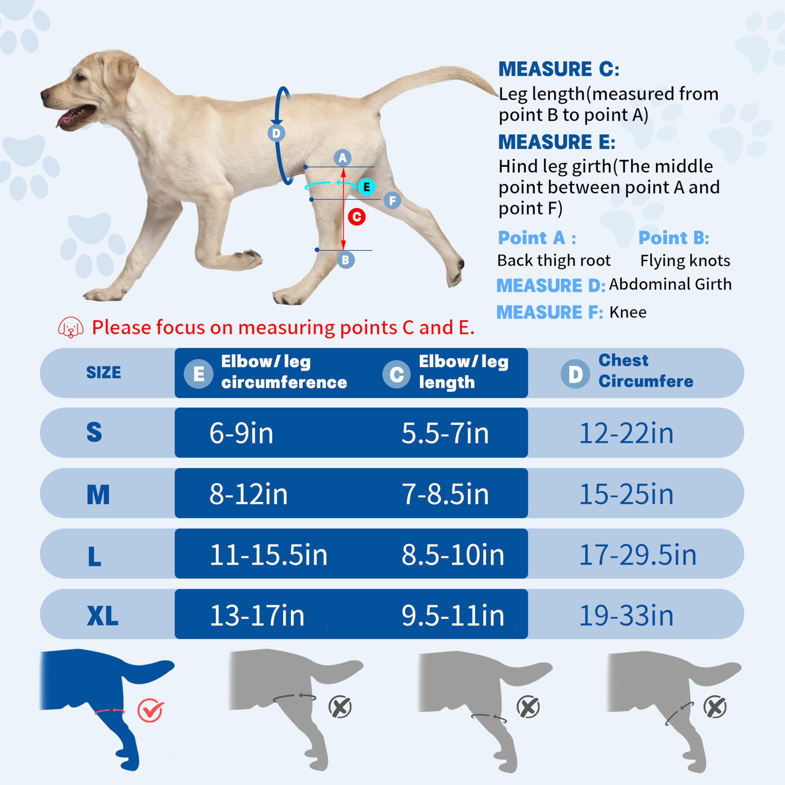 Canine Single Hind/Front Support Brace for Arthritis