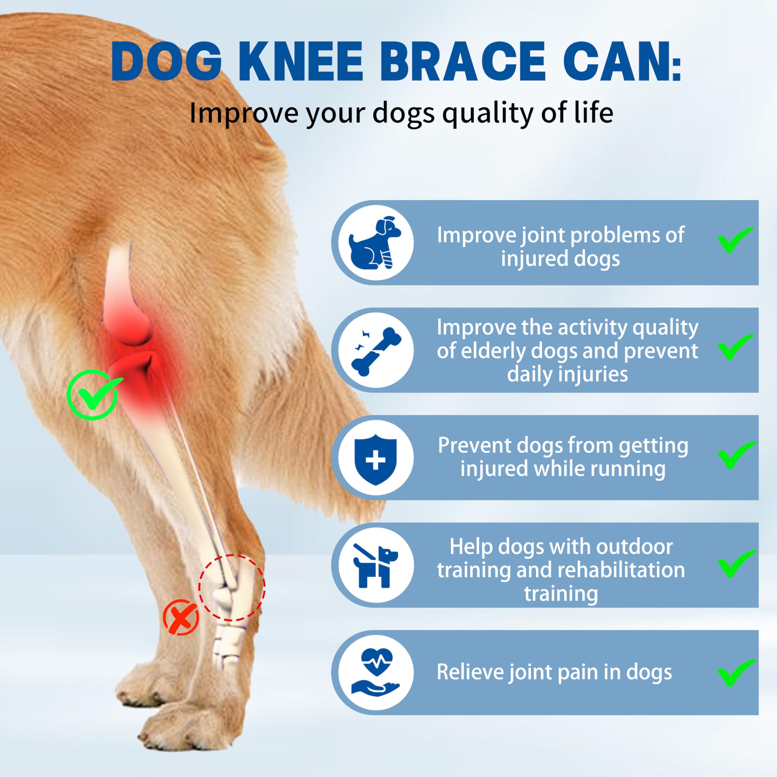 Canine Single Hind/Front Support Brace for Arthritis