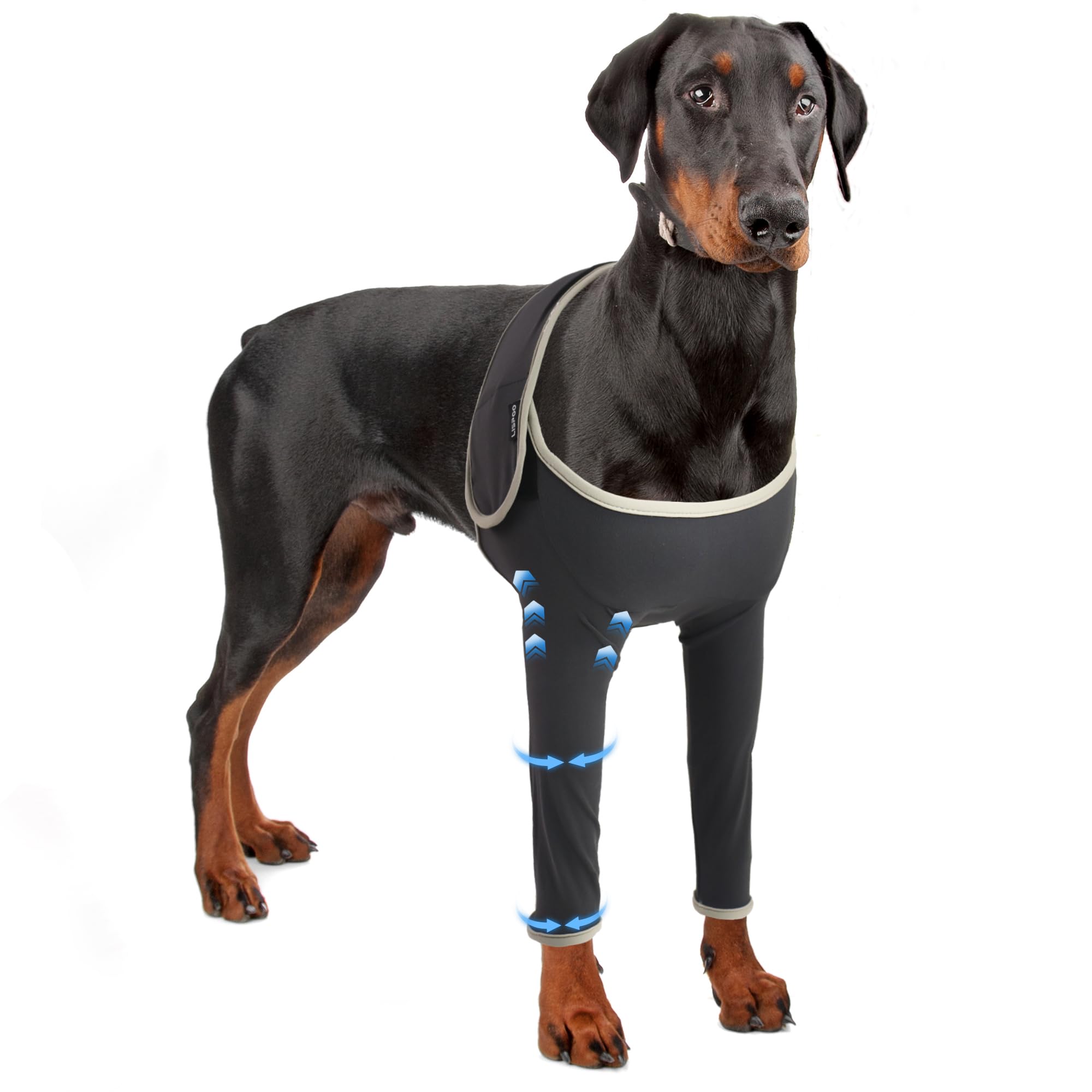 dog front leg support