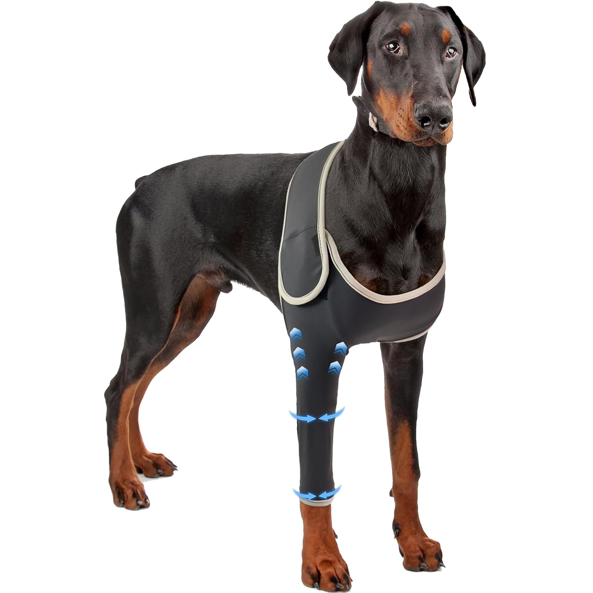 leg brace for dogs front leg