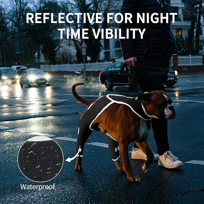 Anti-Lick Dog Double Knee Brace for Dogs Back Leg with Reflective Safety Dot