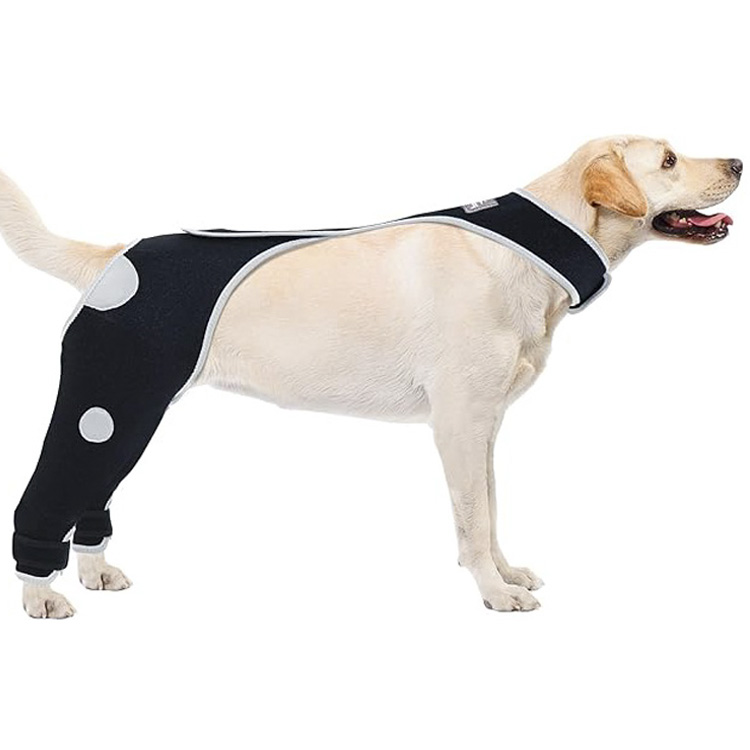 knee brace for dogs back leg