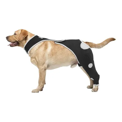 Anti-Lick Dog Double Knee Brace for Dogs Back Leg with Reflective Safety Dot 02