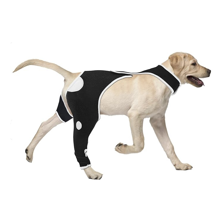 dog double knee brace