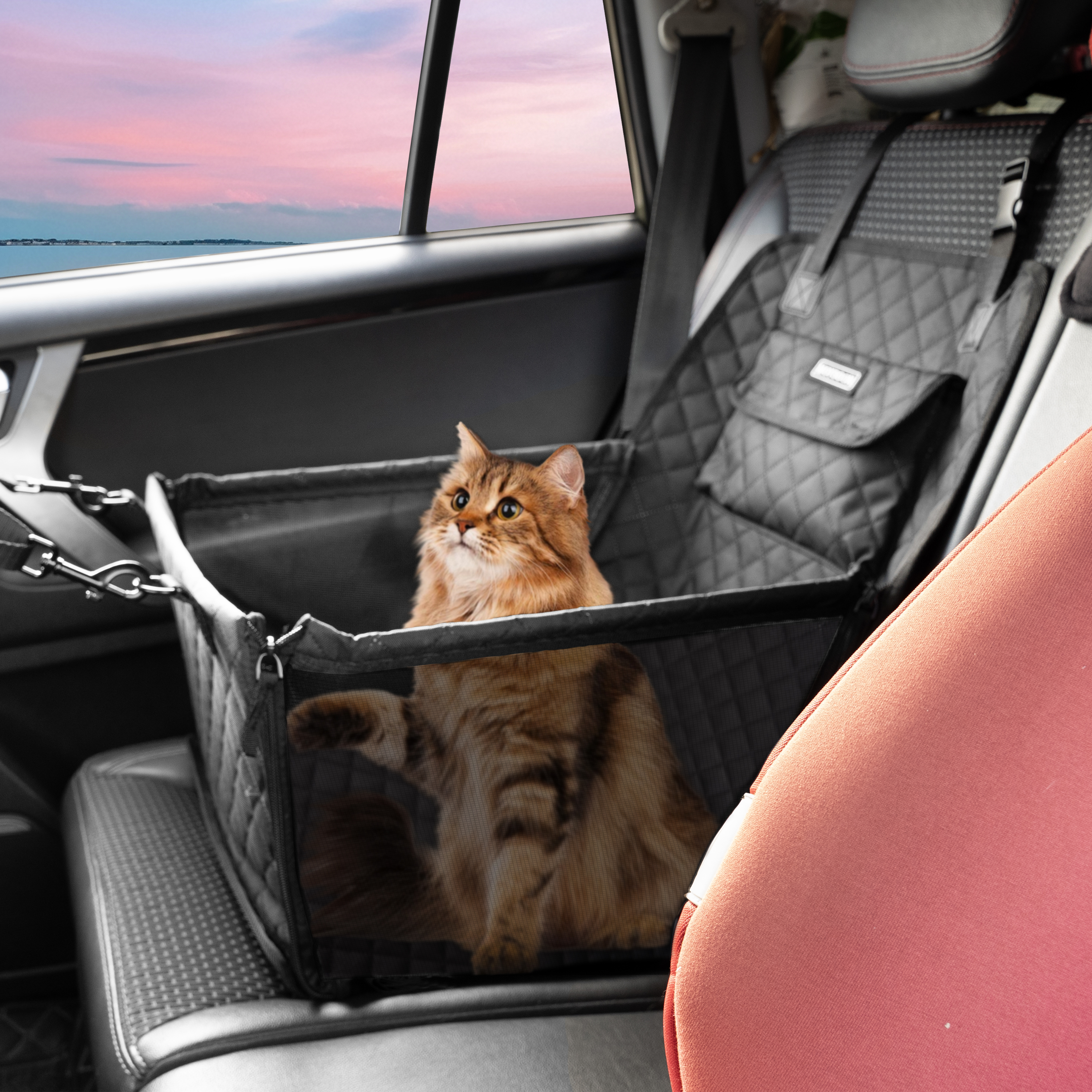 Durable Cat Dog Car Carrier Seat for Car Travel