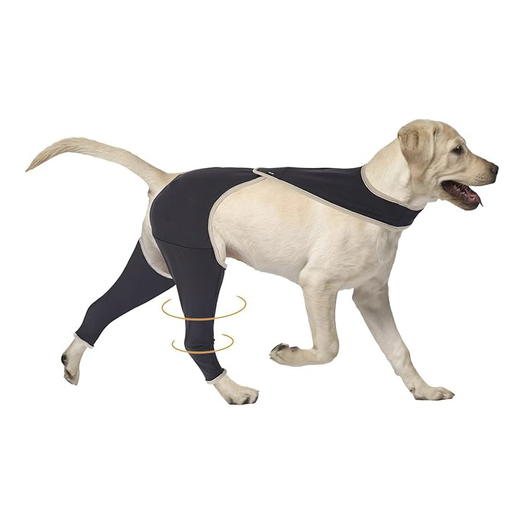 dog rear leg brace
