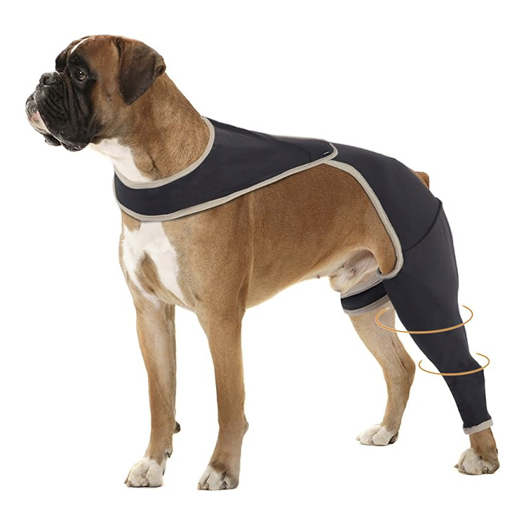 leg brace for dog acl injury