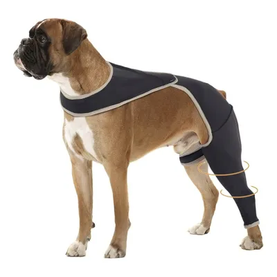Solid-Color Anti-Lick Dog Rear Leg Brace Support for Back Legs 02