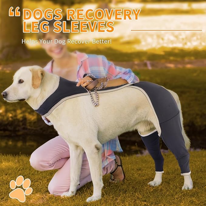 Solid-Color Anti-Lick Dog Rear Leg Brace Support for Back Legs