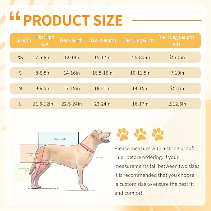 Solid-Color Anti-Lick Dog Rear Leg Brace Support for Back Legs