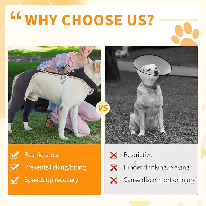 Solid-Color Anti-Lick Dog Rear Leg Brace Support for Back Legs