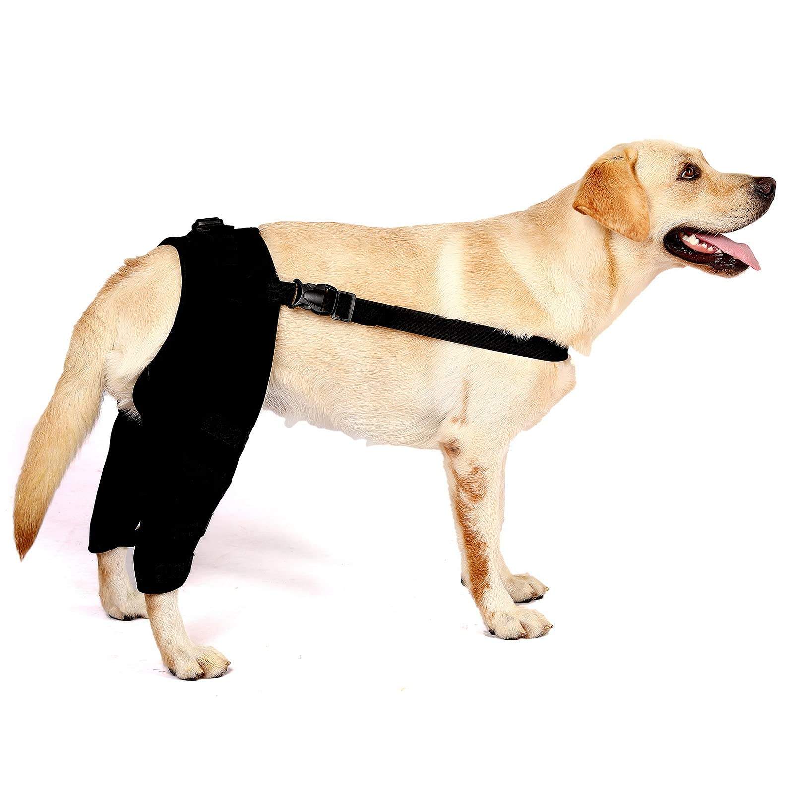Classic Dog Hind Leg Arthritis Brace Black
