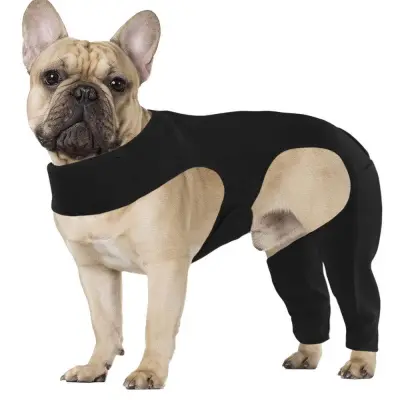 Dog Support Vest 01