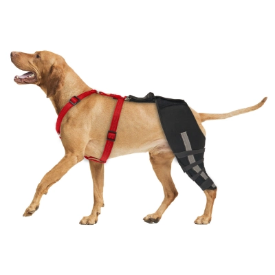 Webbing Design Dog Knee Brace with Hinge Single Leg 01