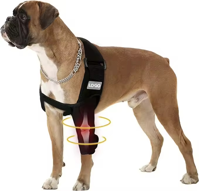 Dog Elbow Brace